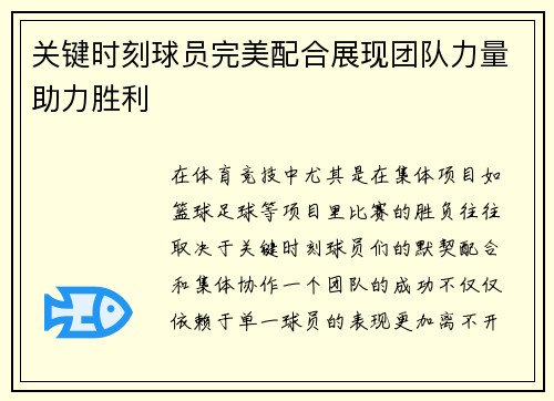 关键时刻球员完美配合展现团队力量助力胜利